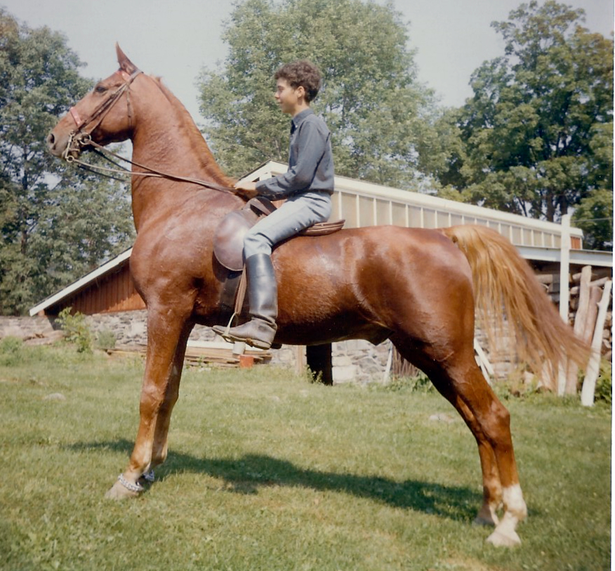 Greg Henderson on horseback at Meadowbrook